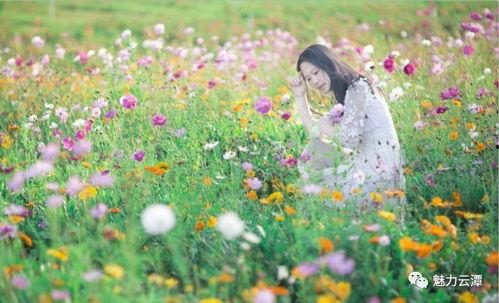 春暖花开 在线观看,在线赏花之旅 第1张 春暖花开 在线观看,在线赏花之旅 第1张
